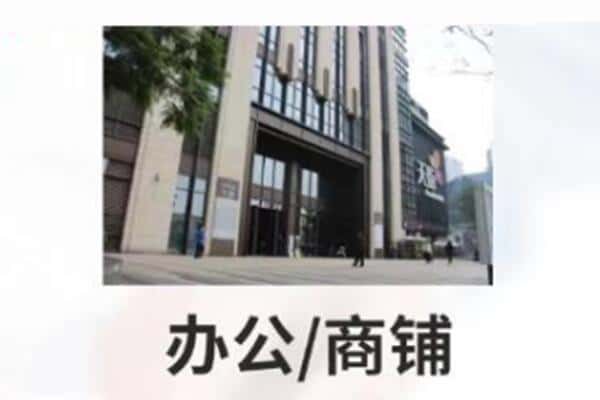 陇南商铺抵押